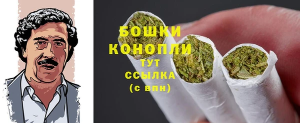 винт Горно-Алтайск