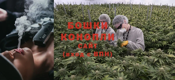 ALPHA PVP Горняк