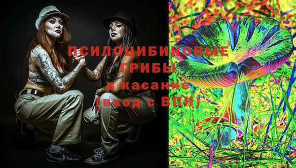 винт Горно-Алтайск